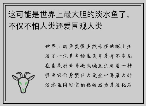 这可能是世界上最大胆的淡水鱼了，不仅不怕人类还爱围观人类